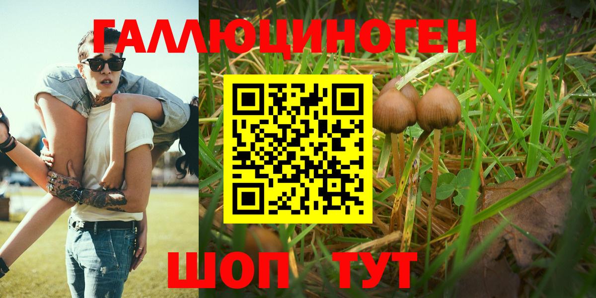 Галлюциногенные грибы мухоморы Протвино
