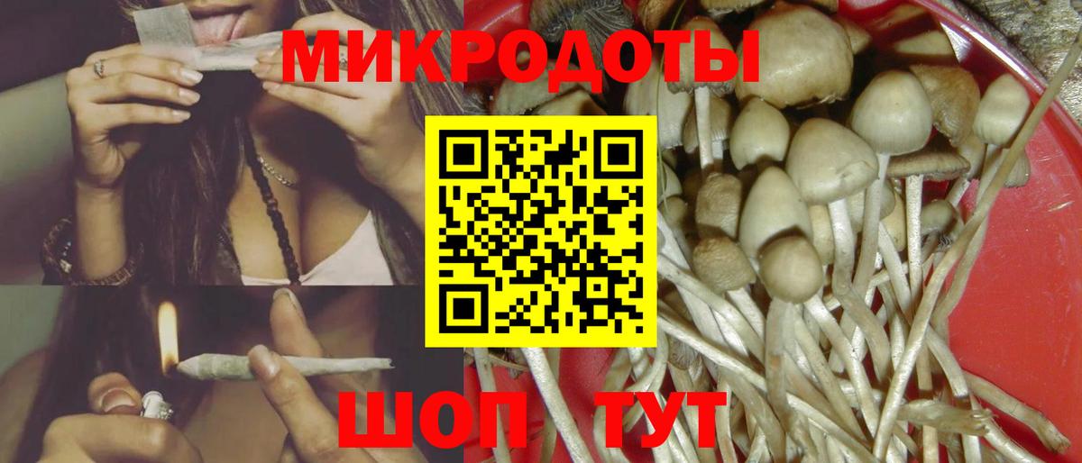 Галлюциногенные грибы Magic Shrooms  Вход с VPN  Псилоцибиновые грибы мицелий  Протвино 